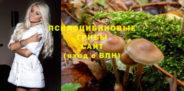 первитин Армянск