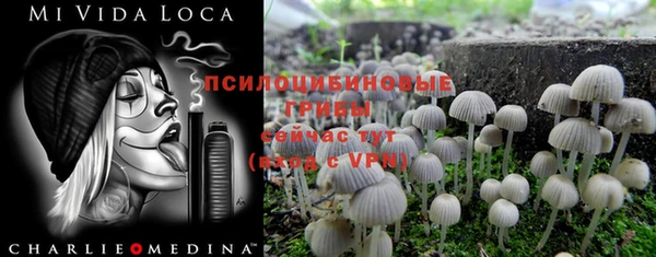 первитин Армянск